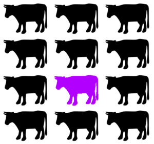 Vache violette